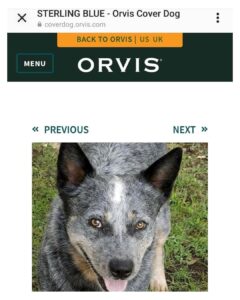 Read more about the article A patriot friend’s dog is in a contest for a magazine cover. If you’re willing t