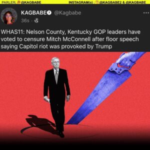 Read more about the article WHAS11: Nelson County, Kentucky GOP leaders censure Mitch McConnell after floor