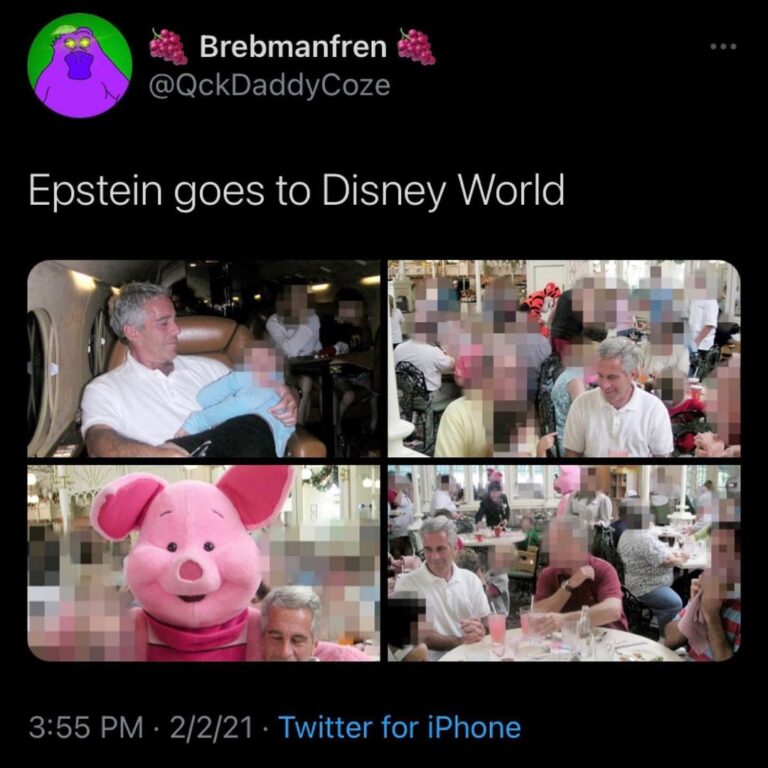Read more about the article Epstein Goes to Disney World
