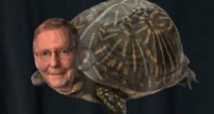Read more about the article Link in My ChinaTurtle is another blackmailed China-owned creep who, itself, pro