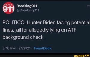 Read more about the article POLITICO: Hunter Biden facing potential fines, jail for allegedly lying on ATF b