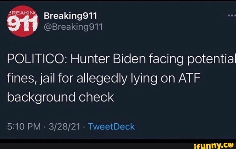 Read more about the article POLITICO: Hunter Biden facing potential fines, jail for allegedly lying on ATF b