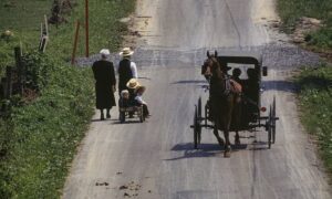 Read more about the article Amish community ‘is the FIRST in US to achieve herd immunity to Covid’