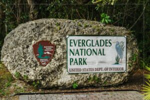 Read more about the article National Park Service reports ‘active shooter’ at Everglades National Park