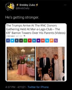 Read more about the article The Barron Option