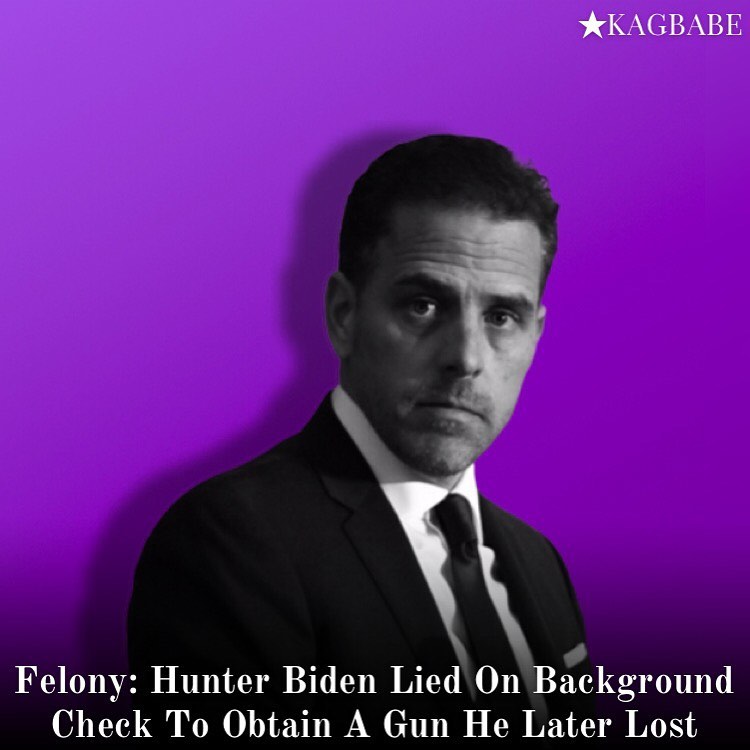 Read more about the article Hunter Biden lied about his history of abuse on a background check completed for