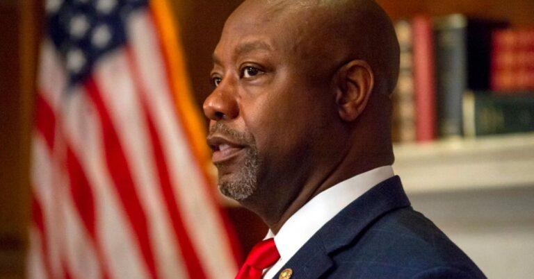 Read more about the article Texas Democratic party official apologizes, resigns after calling Sen. Tim Scott an ‘oreo’