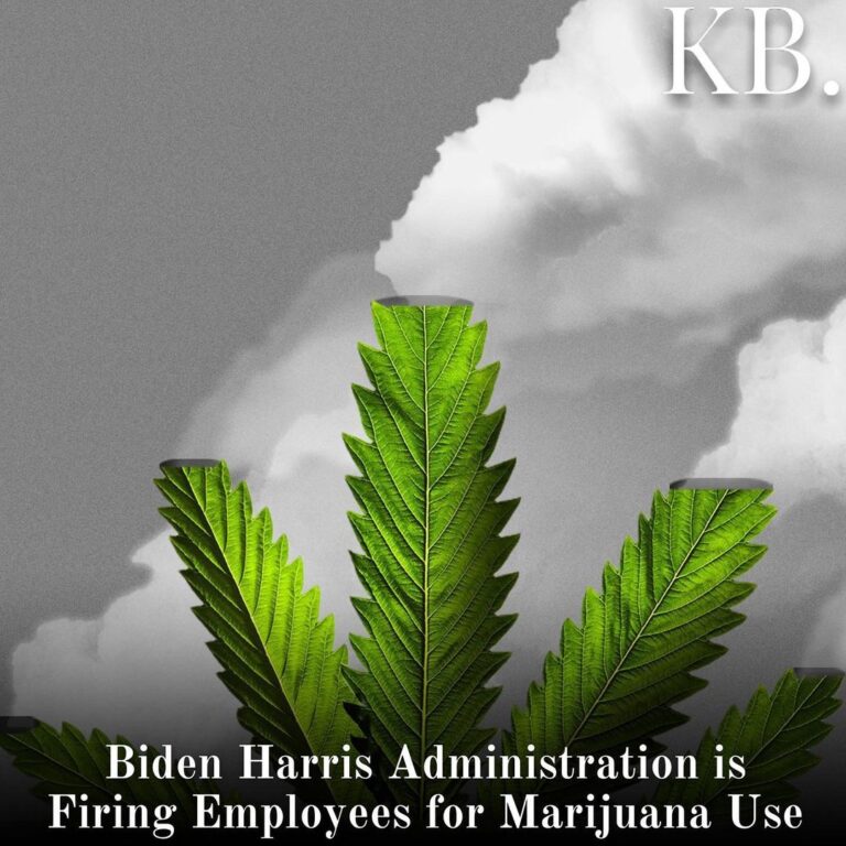 Read more about the article The White House said on Friday it has fired five employees over marijuana use, e