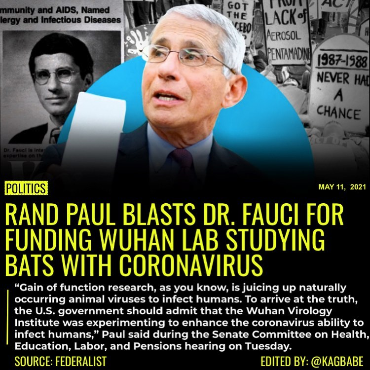Read more about the article Sen. Rand Paul blasted Dr. Anthony Fauci for denying that funding for the Wuhan
