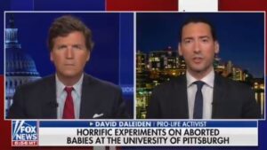 Read more about the article Pro-Life Activist Daleiden Says Dr. Fauci Owns Every Bit of Horrific Pittsburgh Study where Scientists are Growing Aborted Baby Hair on Lab Rats