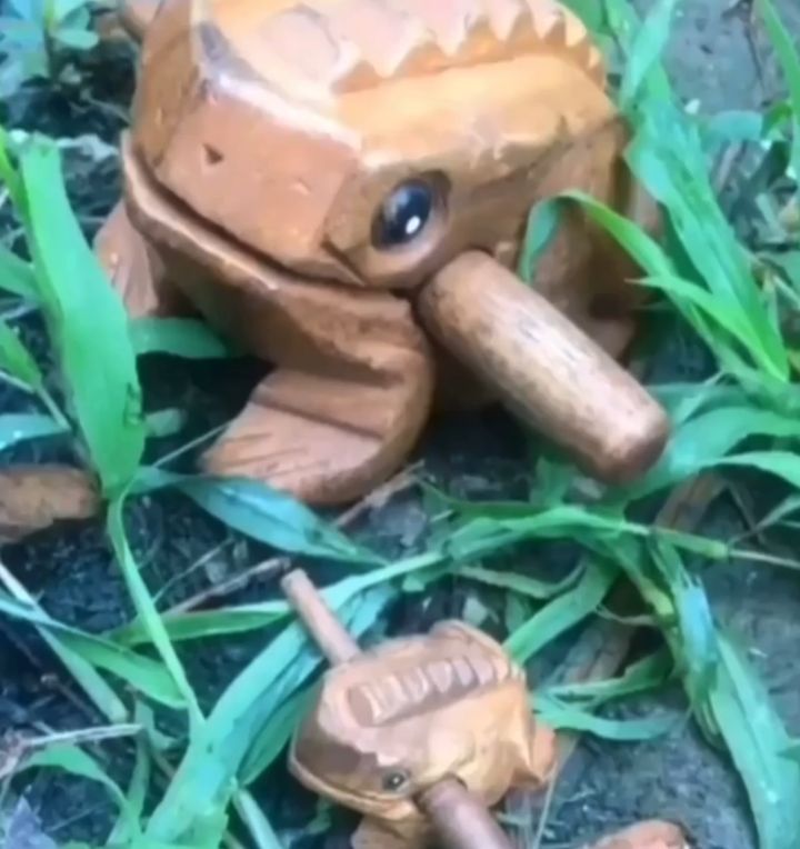 Frenly Reminder Frogs Eat Locusts TMB Files