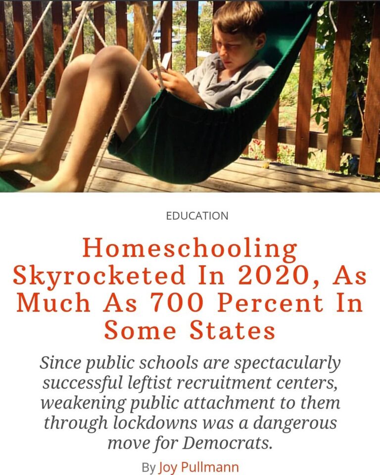 Read more about the article Between May and October 2020, homeschooling more than doubled among U.S. househo