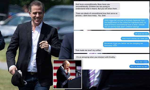 Read more about the article EXCLUSIVE: Hunter Biden addressed his white lawyer as ‘n***a’ multiple times, us