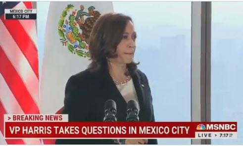 Read more about the article Leftist Hack Who Told Kamala Harris “I Voted for You” at Guatemala Presser — Is a Fake Reporter and Lied About Working at Hispanic Channel