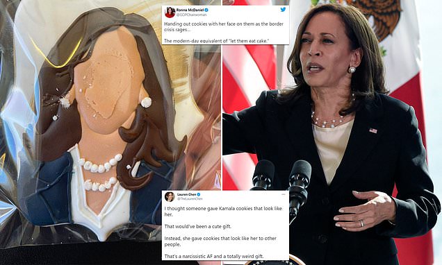 Read more about the article Kamala Harris is slammed for passing out cookies with her faceless head on Air F