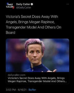 Read more about the article Not that I care because I think that Victoria’s true secret is that the majorit