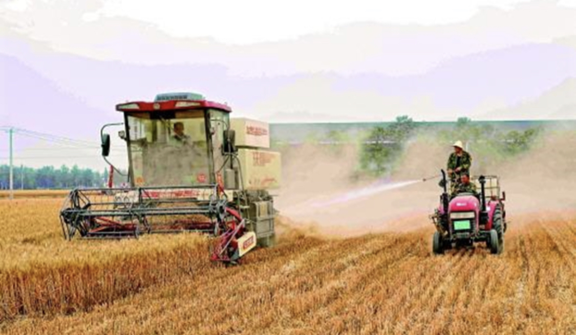 You are currently viewing To protect the environment, CCP orders to spray water while harvesting wheat – GNEWS