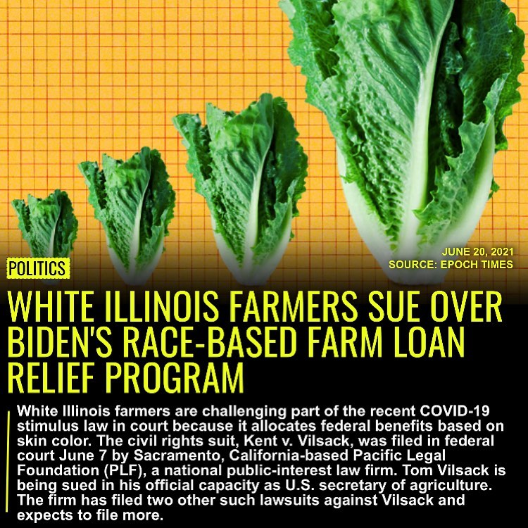 Read more about the article White Illinois farmers are challenging part of the recent COVID-19 stimulus law