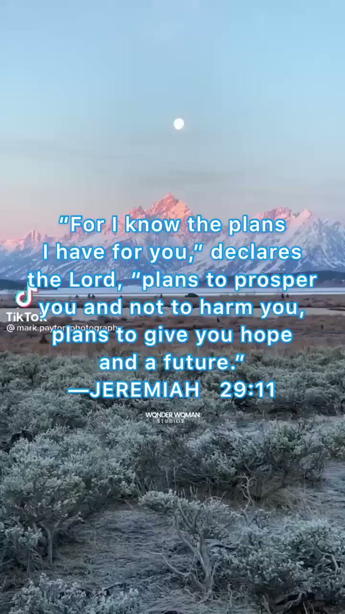 You are currently viewing “For I know the plans I have for you,” declares the LORD, “plans to prosper you