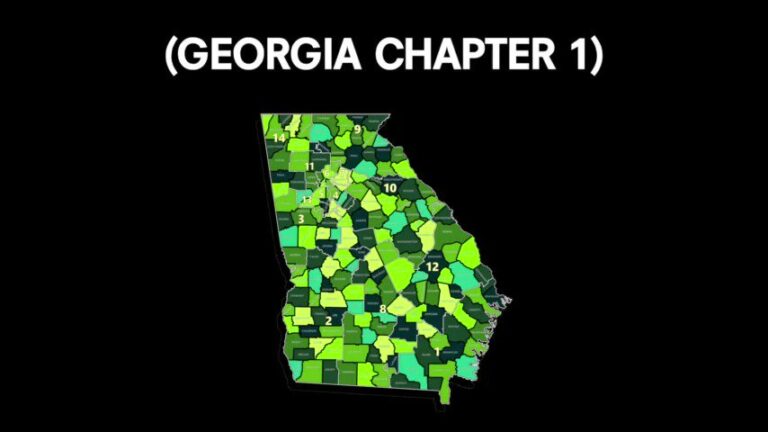 Read more about the article THREAD ON GEORGIA“Georgia Subtracted 42,173 Votes From Trump And Adjudicated M
