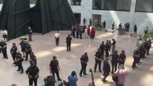 Rep. Joyce Beatty (D-OH) arrested by Capitol Police in Hart Senate Office Buildi - TMB Files