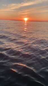 Read more about the article Beautiful evening…