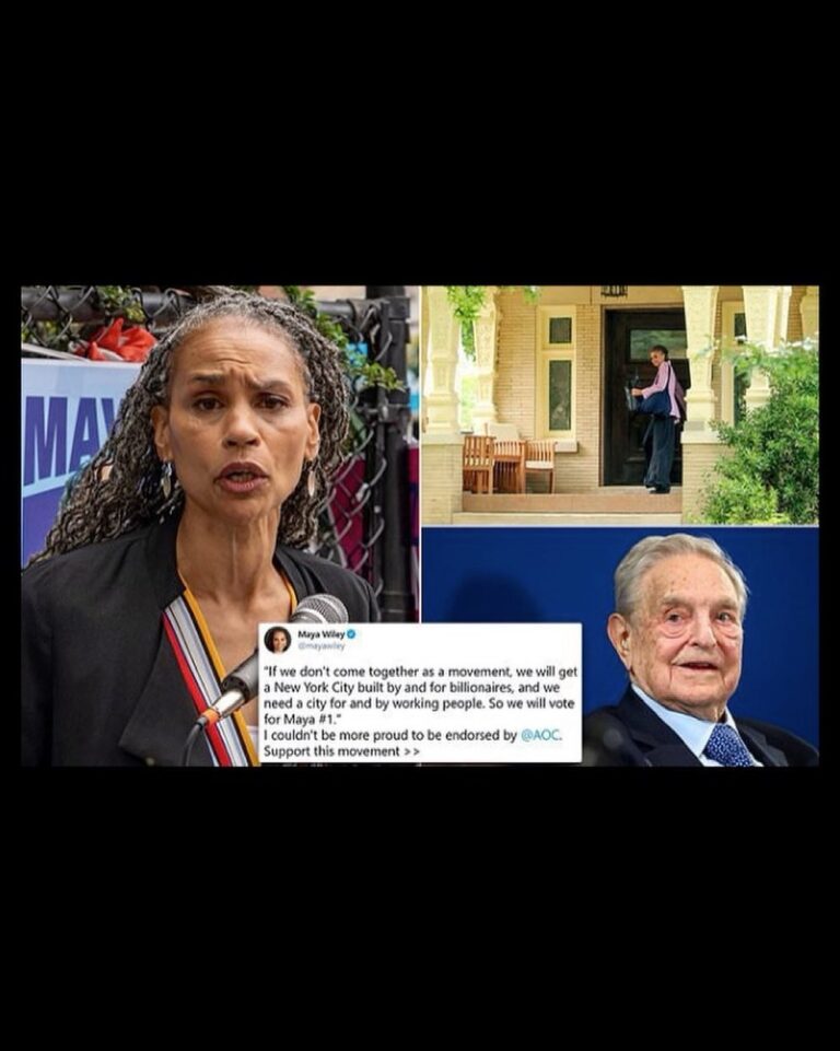 Read more about the article Another Soros Shill running for Nyc Mayor.