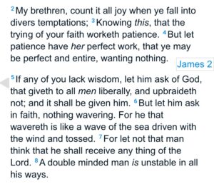 Read more about the article James 1:2-8 KJV

Idk who else but me might have needed to hear this, so here’s s