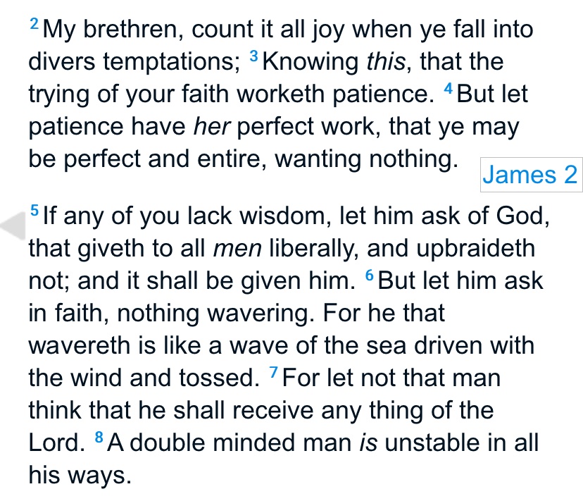 You are currently viewing James 1:2-8 KJV

Idk who else but me might have needed to hear this, so here’s s