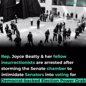 Read more about the article NEW: Rep. Joyce Beatty  & her fellow insurrectionists are arrested after stormin