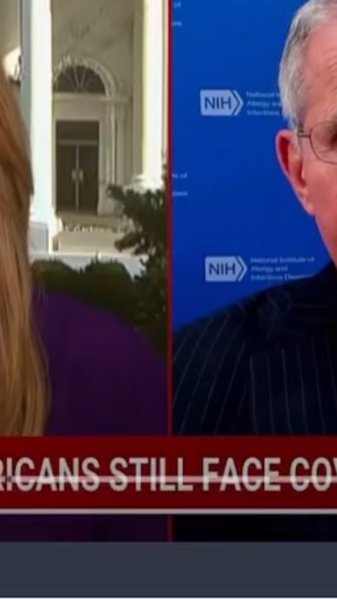 Read more about the article Nicole Wallace & Fraudci lying and calling US stupid basically.
Fauci: I Was Ne