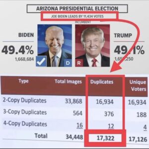 Read more about the article Media refuses to report the truth on Arizona election and continues the false na
