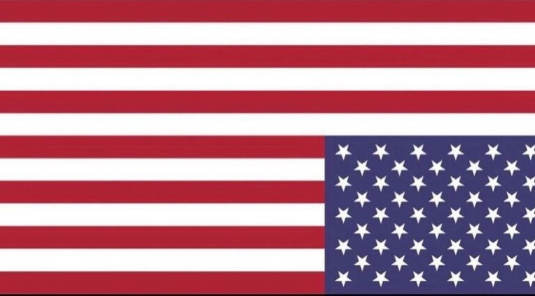 Read more about the article It’s time. The upside down flag represents a country in distress. All that Ameri