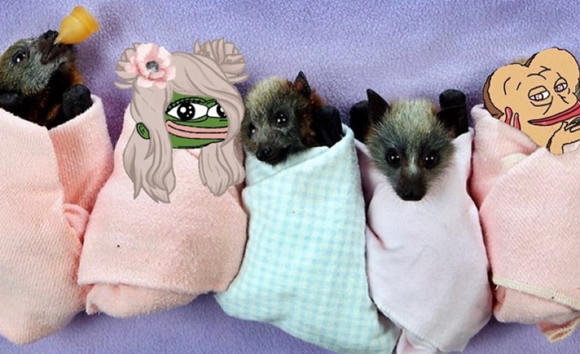 You are currently viewing Hope everybody is cozy this evening.