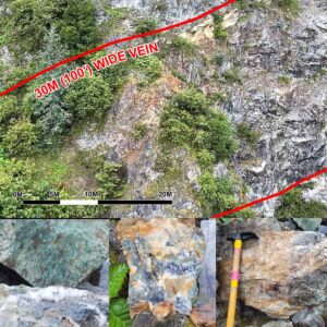 Read more about the article Blackwolf Copper and Gold Identifies Significant Vein Targets at Cantoo Property