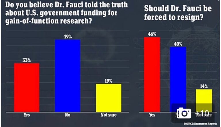 Read more about the article Poll shows nearly HALF of Americans think the top Anthony Fauci lied about U.S.