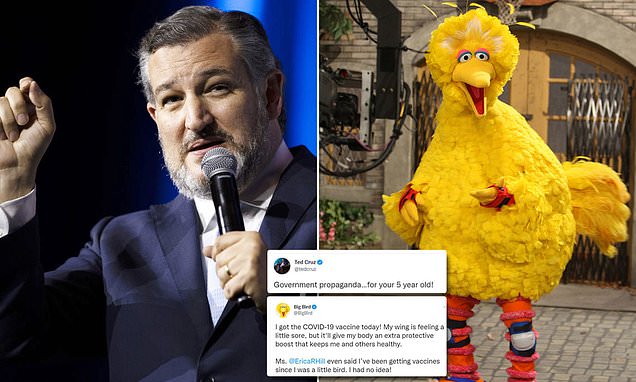 You are currently viewing ‘Government propaganda for your 5 year old!’ Ted Cruz hits out at BIG BIRD for t