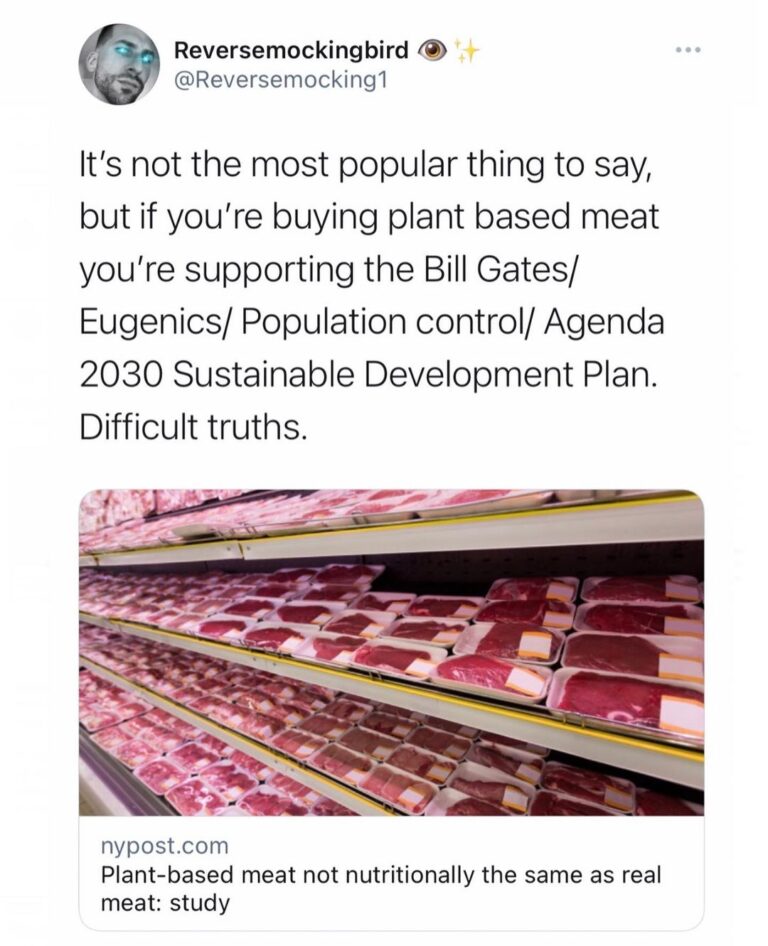 Read more about the article If you’re buying plant based meat you’re supporting the Bill Gates/ Eugenics/ Population control/ Agenda 2030 Sustainable Development Plan