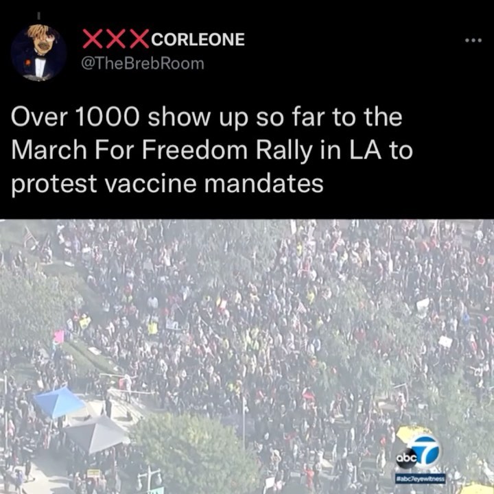 Read more about the article Over 1000 show up so far to the March For Freedom Rally in LA to protest vaccine mandates
