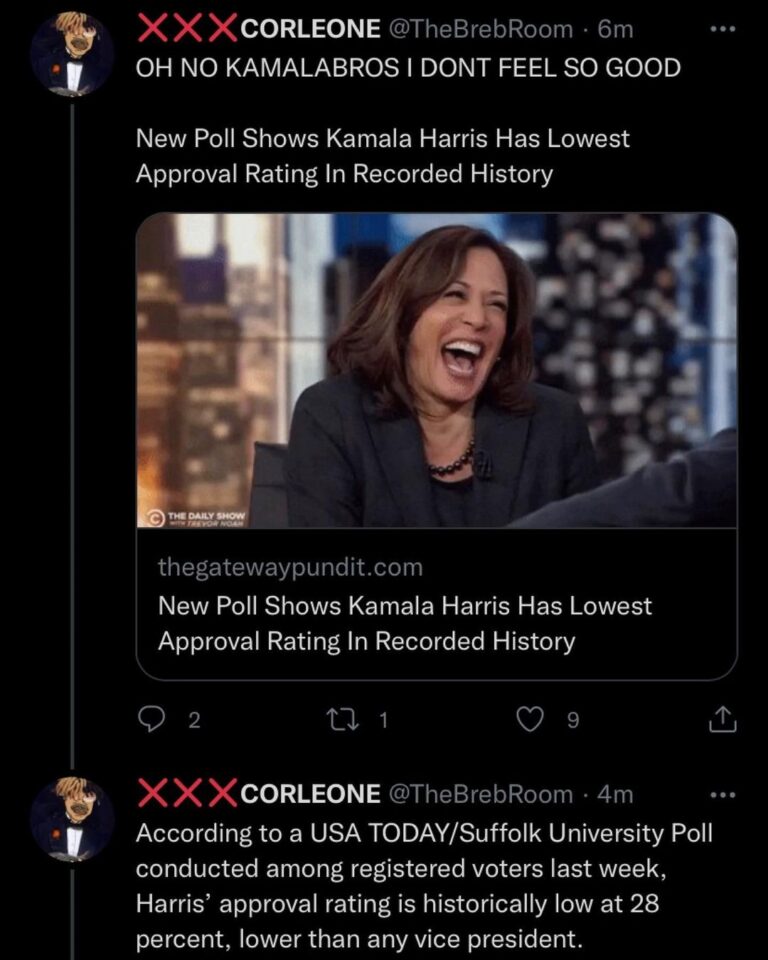Read more about the article New Poll Shows Kamala Harris Has Lowest Approval Rating In Recorded History