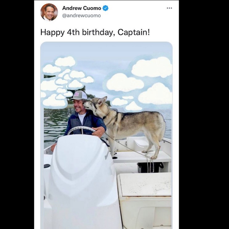 Read more about the article Posted yesterday. Andrew Cuomo Dog comms