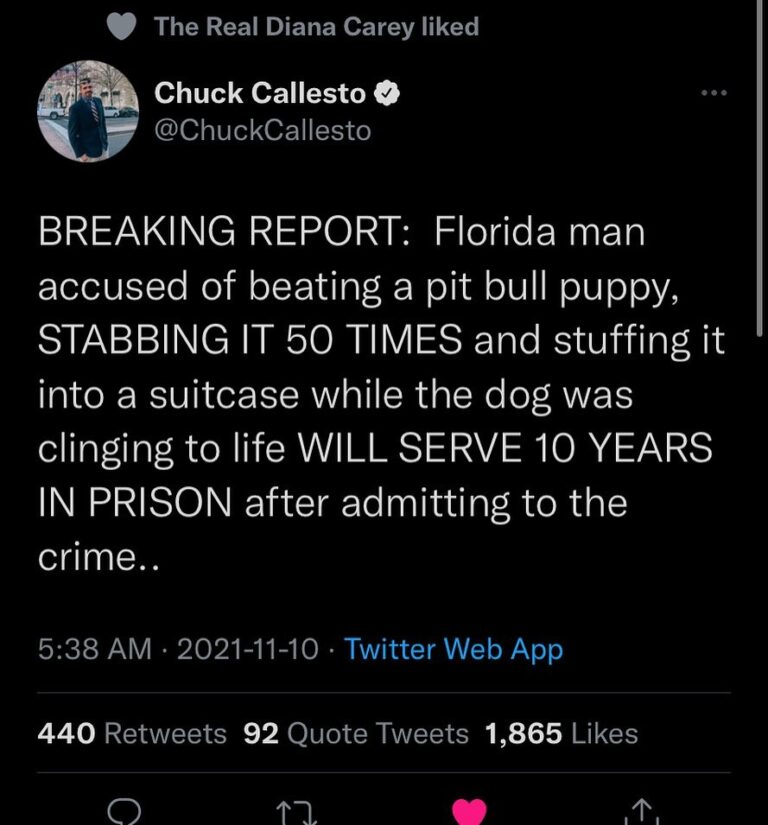 Read more about the article Florida man accused of beating a pit bull puppy, STABBING IT 50 TIMES and stuffing it into a suitcase while the dog was clinging to life WILL SERVE 10 YEARS IN PRISON after admitting to the crime..