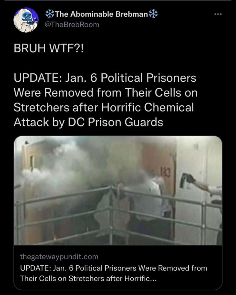 Read more about the article UMM ABUSE DEPARTMENT?! – UPDATE: Jan. 6 Political Prisoners Were Removed from Their Cells on Stretchers after Horrific Chemical Attack by DC Prison Guards