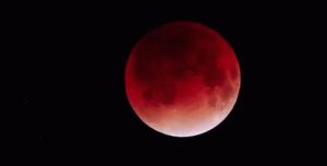 Read more about the article what is blood moon symbology?

Whats bleeding?
Whats mooning?

Market Bleeds
$XR