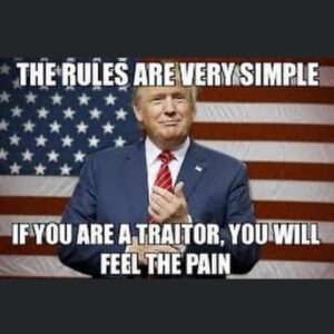 Read more about the article The Rules Are Very Simple If Your A Traitor, You will Feel Pain