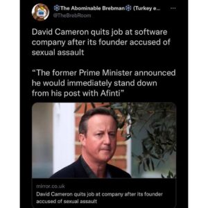 Read more about the article David Cameron quits job at software company after its founder accused of sexual assault