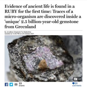 Read more about the article The rubies from Greenland having living organisms in them? 
What is going on her