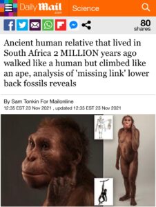 Read more about the article Ancient human relative that lived in South Africa 2 MILLION years ago walked like a human but climbed like an ape, analysis of ‘missing link’ lower back fossils reveals