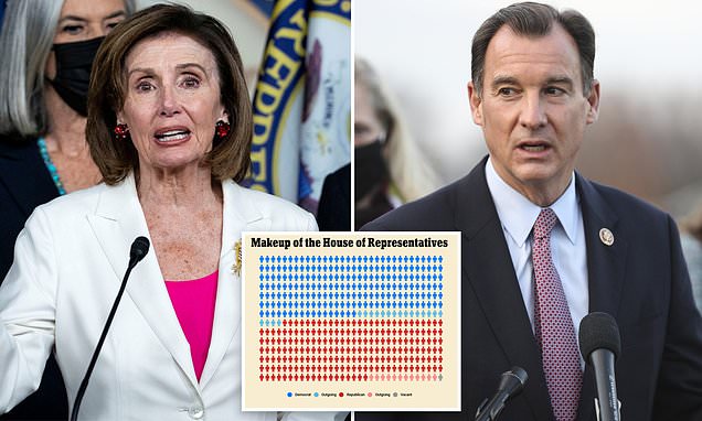 Read more about the article ANOTHER ONENancy Pelosi loses ANOTHER Democrat before the midterms: Long Islan