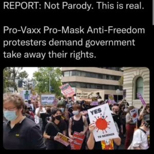 Read more about the article REPORT: Not Parody. This is real. Pro-Vaxx Pro-Mask Anti-Freedom protesters demand government take away their rights.